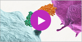 I-O 101 Chapter 1: The Immune System Video thumbnail