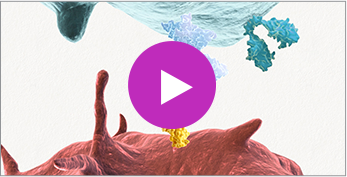I-O 101 Chapter 2: The Immune System's Response to Cancer Video thumbnail